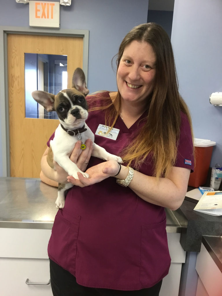 Lucy South Shore Veterinary Hospital