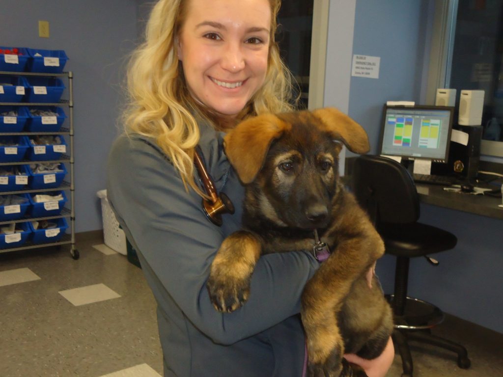 rf South Shore Veterinary Hospital